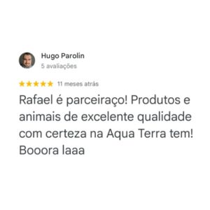 Avaliação AT7