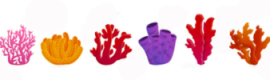 Design sem nome (7)