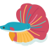 betta-fish